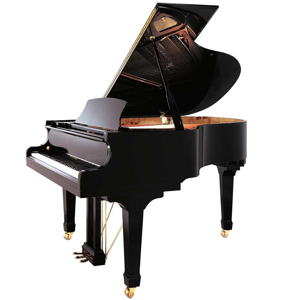 Hailun Hg150Se צבע שחור