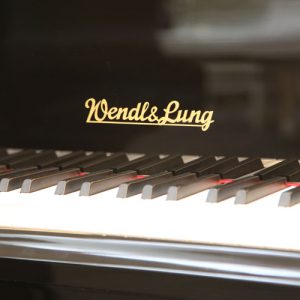 פסנתרי Wendl & Lung חדשים- בלעדי!