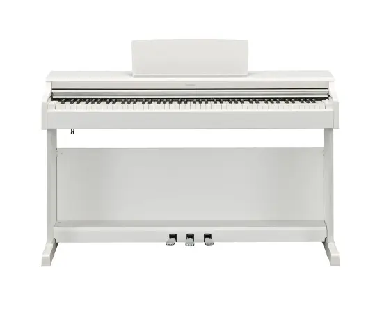 Ydp 165 Wh