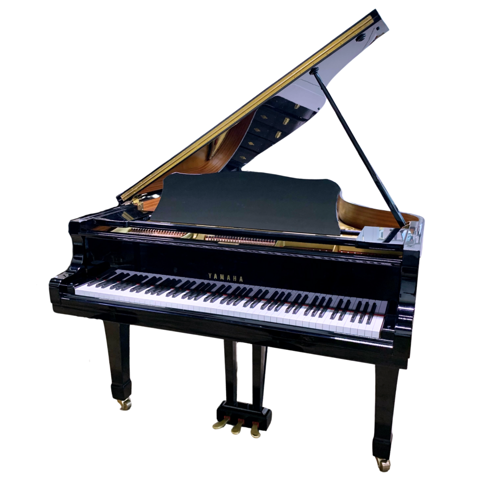 Yamaha G5